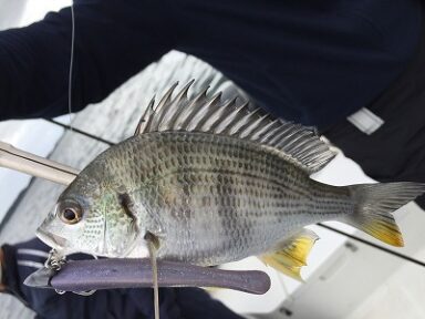 今年の最後の操船＆釣り講習会