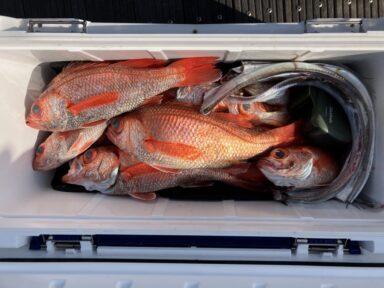 遠州灘の釣果！アカムツ！イサキ！アマダイ！