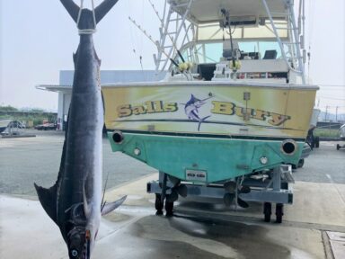 遠州灘の釣果！First Marlin！