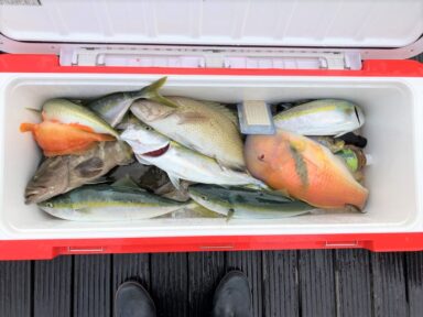 遠州灘の釣果!ヒラメ!オオモンハタ!