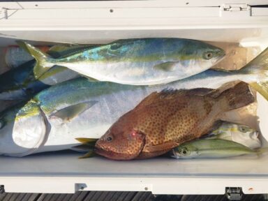 遠州灘の釣果！青物爆釣！