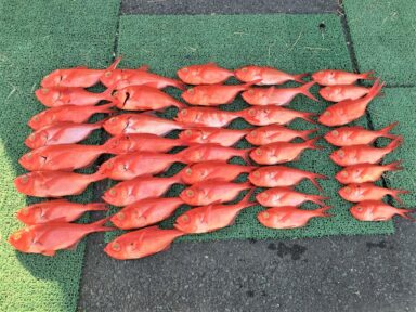 遠州灘の釣果！キンメダイ爆釣！