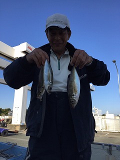 アジ　浜名湖