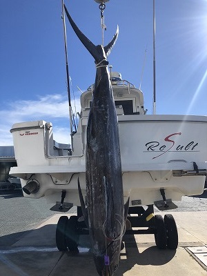 カジキマグロ 大物 カジキ！！｜浜名湖ブログ｜スズキマリーナ浜名湖