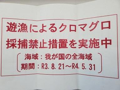 遊漁によるクロマグロ採捕禁止措置