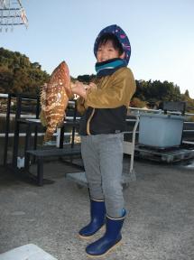 １キロ超えのキジハタ