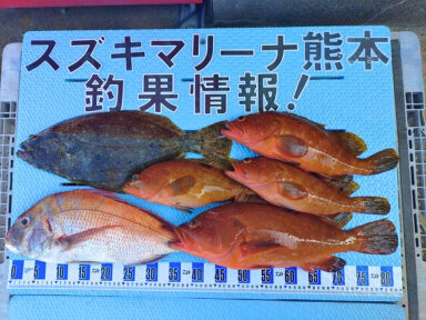 【スズキマリーナ熊本】スタッフMの釣行記～タイラバ～