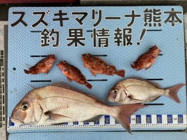 【スズキマリーナ熊本】スタッフM’の釣行記～タイラバ～