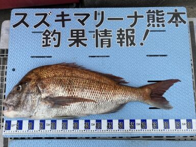 【スズキマリーナ熊本】70ｃｍ超えの真鯛！