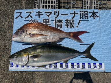 【スズキマリーナ熊本】まだブリ回遊中！