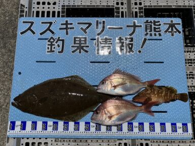 【スズキマリーナ熊本】高級魚！ヒラメ！
