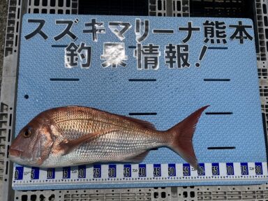 【スズキマリーナ熊本】またまた大鯛をGET！