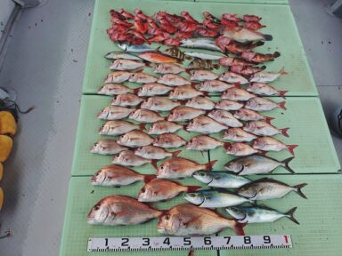 【スズキマリーナ熊本】スタッフMの釣行記～青物→タイラバ～