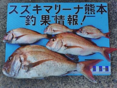 【スズキマリーナ熊本】スタッフMの釣行記～大鯛狙い～