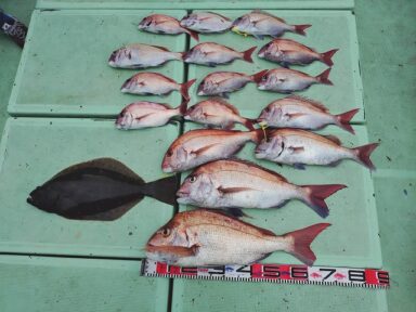 【スズキマリーナ熊本】スタッフMの釣行記~爆風の中のヒラメ~