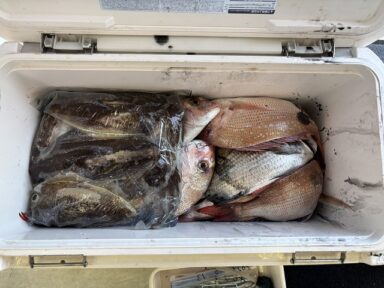 【スズキマリーナ熊本】烏賊祭り！