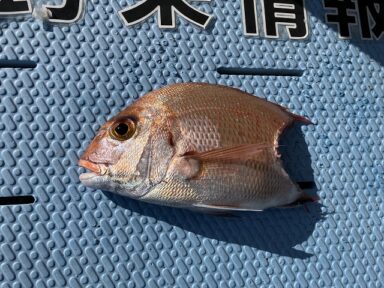 【スズキマリーナ熊本】奴の仕業だ！！