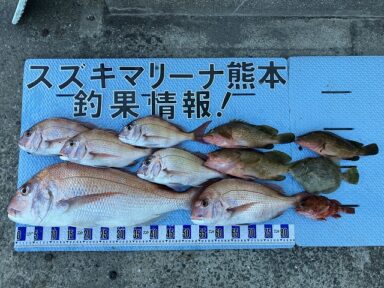 【スズキマリーナ熊本】62cm筆頭に大漁!