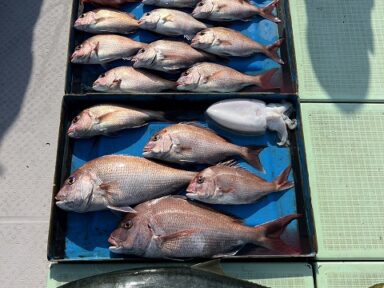 【スズキマリーナ熊本】スタッフMの釣行記~苦戦!タイラバ!