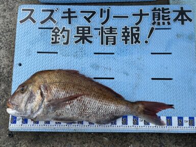 【スズキマリーナ熊本】大鯛登場！