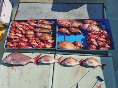 【スズキマリーナ熊本】スタッフMの釣行記～冬のタイラバ～