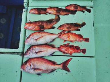 【スズキマリーナ熊本】二枚潮に大苦戦！