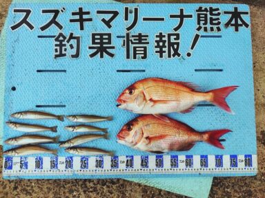 【スズキマリーナ熊本】スタッフMの釣行記～キスフライが食べたくて…～