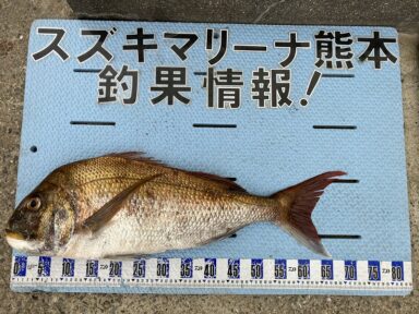 【スズキマリーナ熊本】大鯛登場！