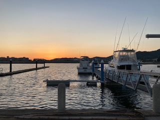 夕日が綺麗な季節になりました。