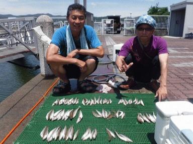 キスが釣れすぎて