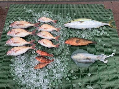 シャチ君、今日の釣果♪