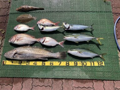 名前負けしない大きさのオオニベ！