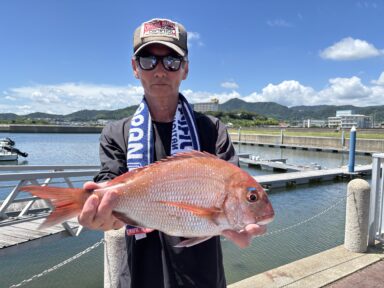 アジが入れ食い状態のようです