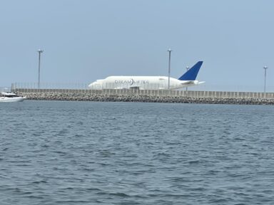 クルージングを楽しむ
