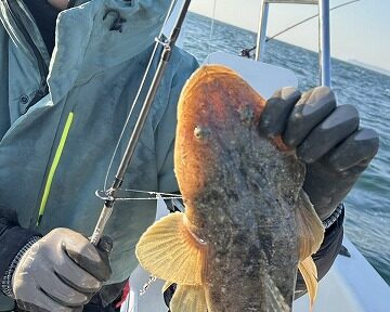 【追記あり】原ちゃん丸 釣行記&マゴチの薄造り