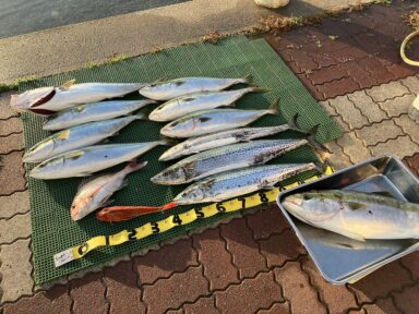 笑顔あふれる大漁日和!2月20日釣果速報