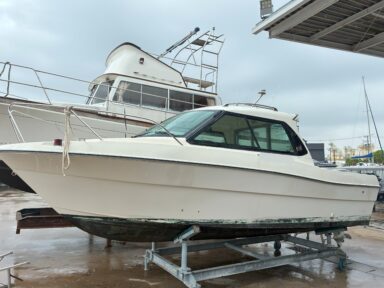 近日入荷予定☆中古艇情報