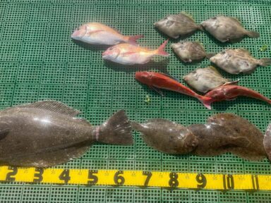釣ったフグを料亭で・・・