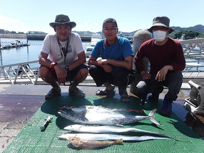 スズキ　サワラ　7月　釣り