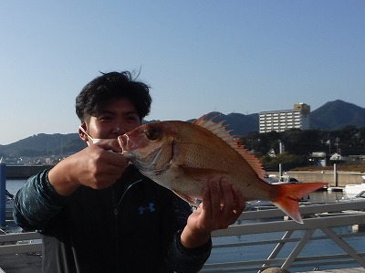 ハマチ　ヒラメ　11月　海　釣り