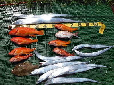 釣船　タチウオ　ハタ　マダイ　