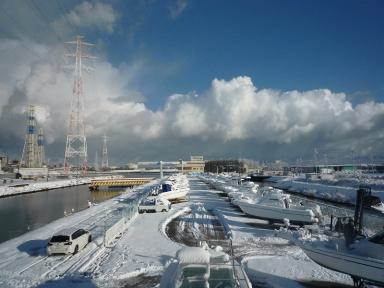 　＊　初雪便り　＊