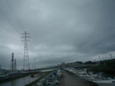 連日の雨、週末の日々。