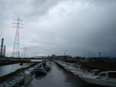 冷たい雨続く、11月中旬の日。