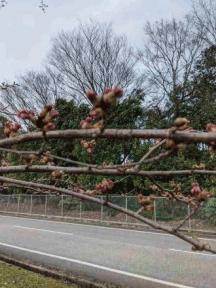 2022年4月1日（金）始まり、です。