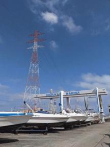 爽快な青空、釣果もどんどん上昇中。