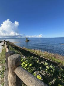 先週の富山湾！　釣果にはあの魚の姿も、、！