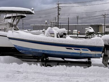 雪が積もっております