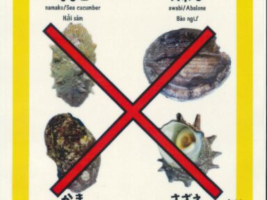 採補禁止のお知らせ