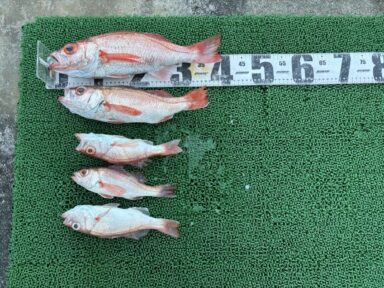 10/23（木）🐟釣果報告🐟